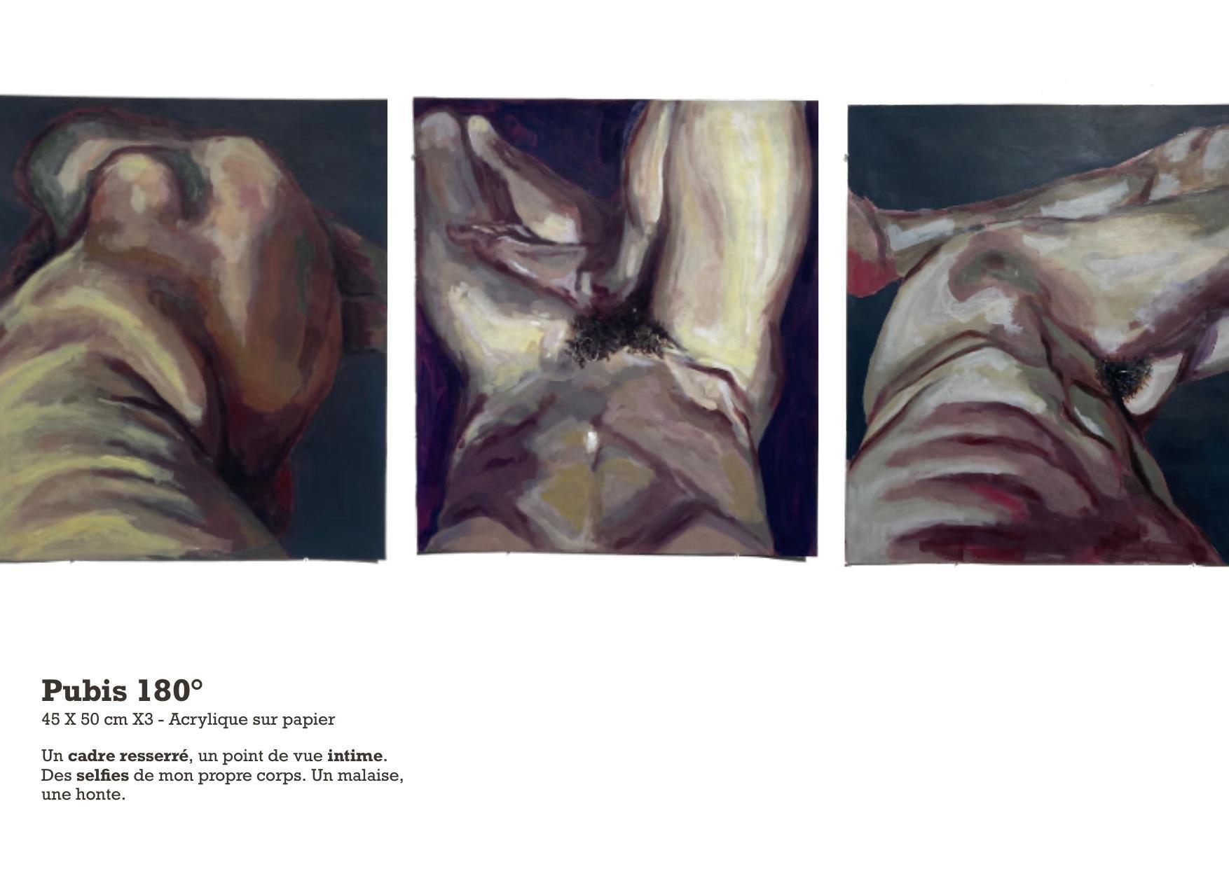 Pubis 180° — Triptyque acrylique