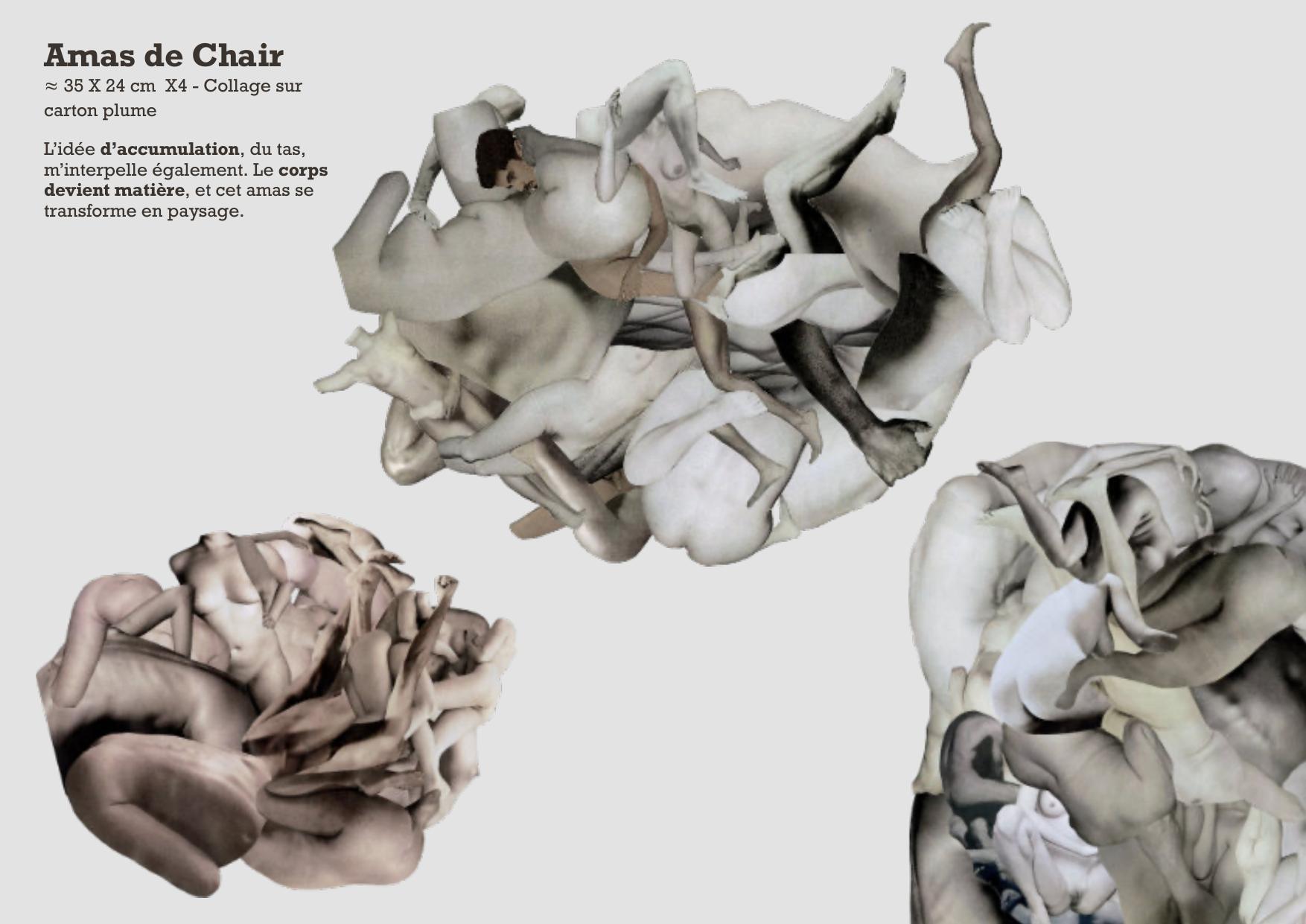 Amas de Chair — Collage
